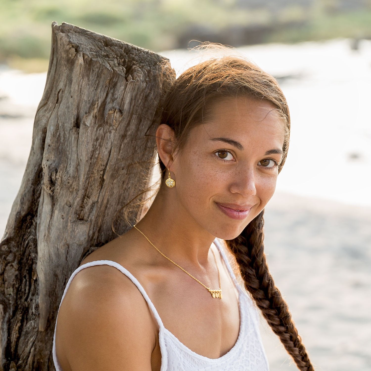 14 Karat Gold Plated Sand Dollar French Wire Earrings - Joyeria Lady