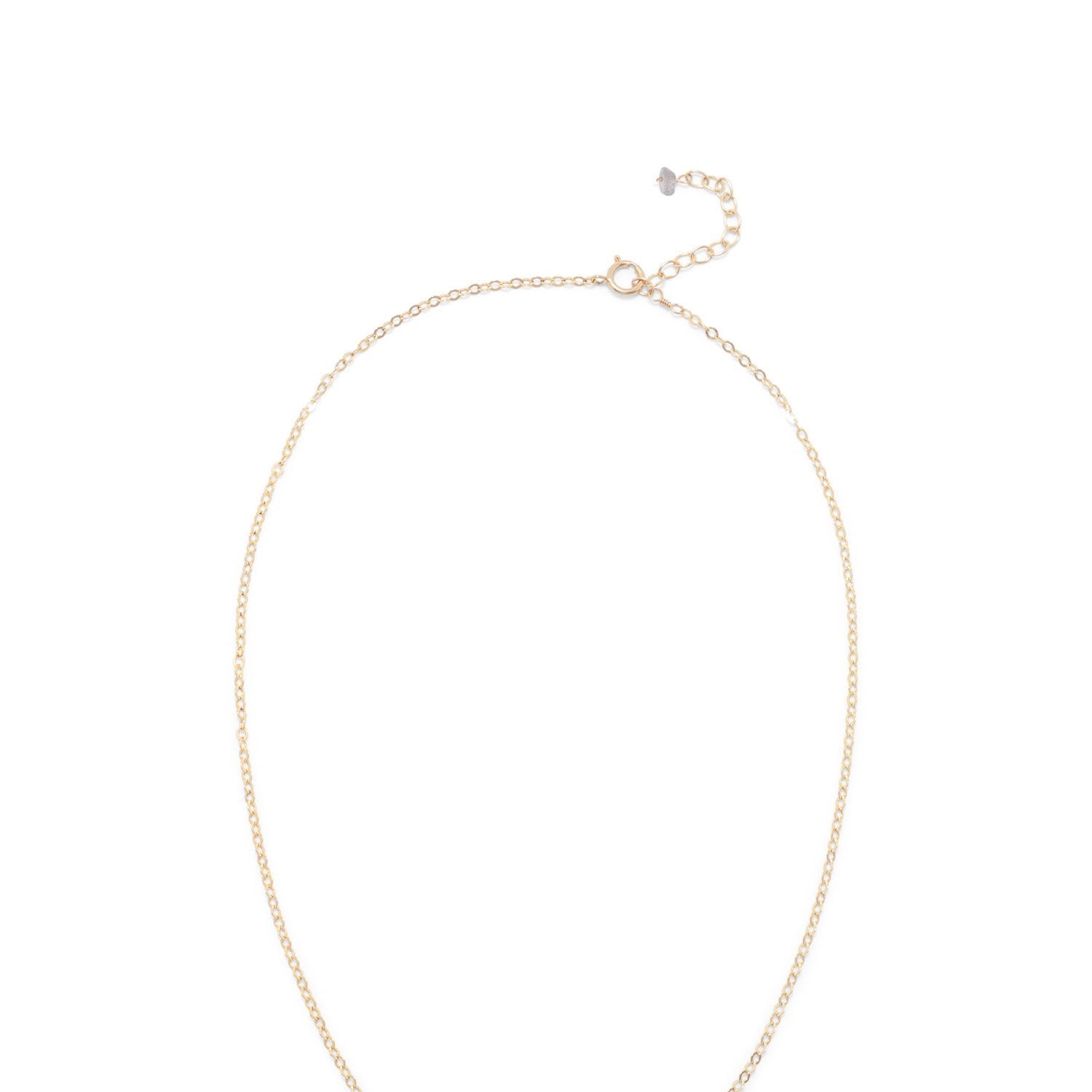 14/20 Gold Filled Labradorite Ellipse and CZ Edge Slide Necklace - Joyeria Lady
