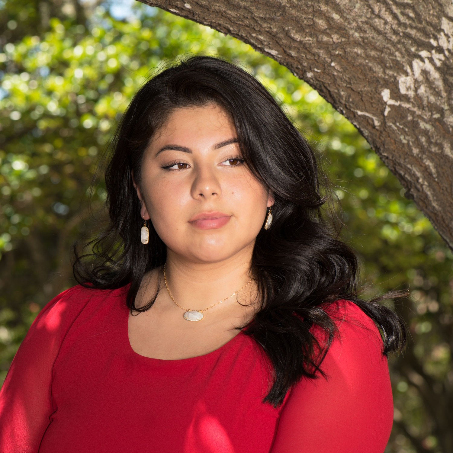 14 Karat Gold Plated Rainbow Moonstone with CZ Edge Earrings - Joyeria Lady