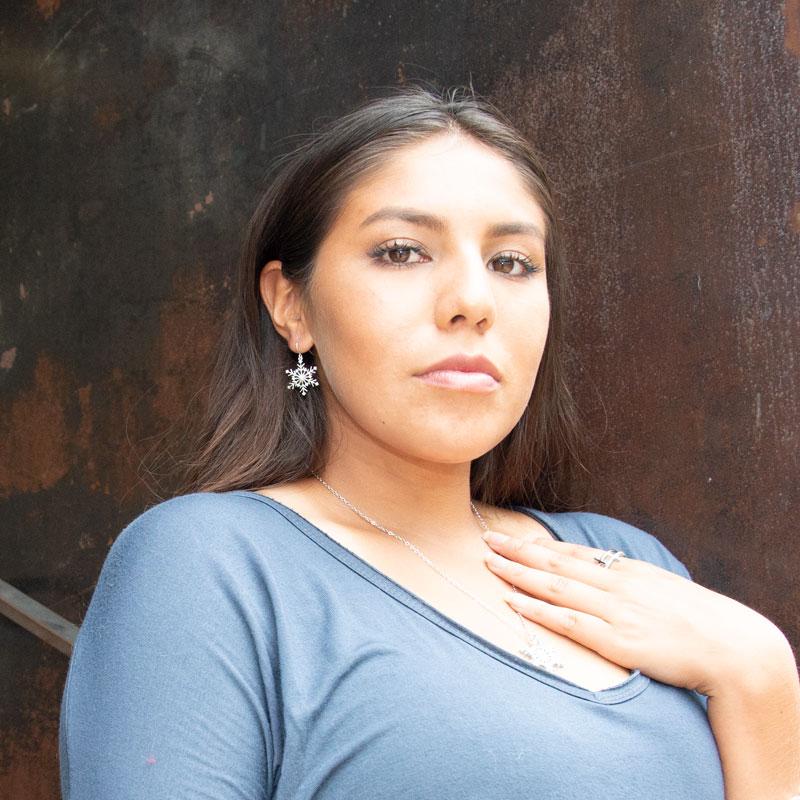 Rhodium Plated 6 Point CZ Snowflake French Wire Earrings - Joyeria Lady