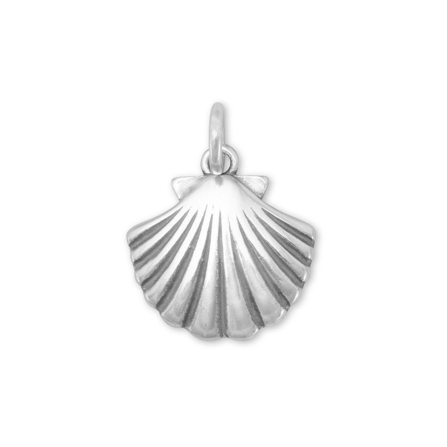 Clam Shell Charm - Joyeria Lady