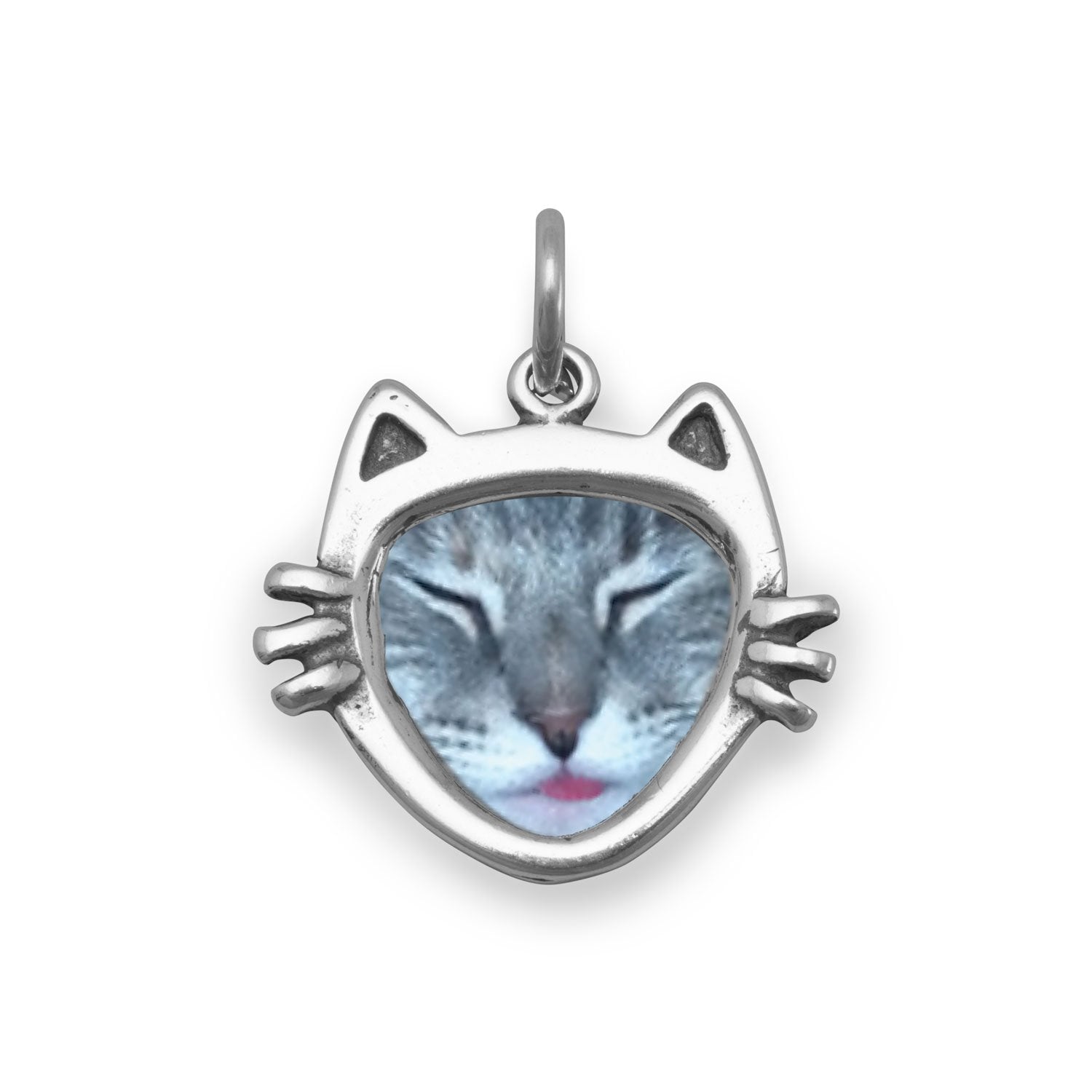 Cat Face Picture Frame Charm - Joyeria Lady