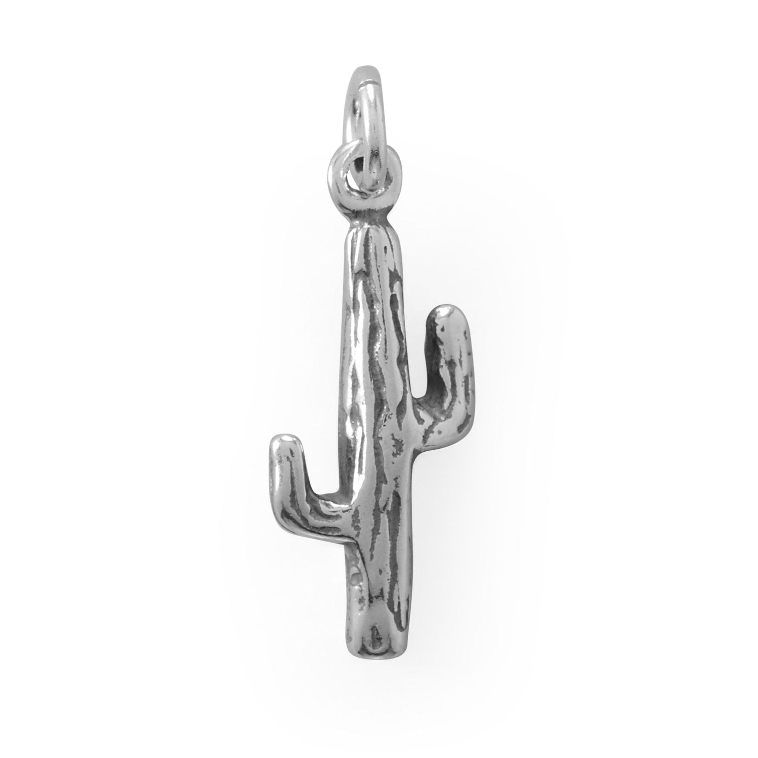 Lookin' Sharp! Cactus Charm - Joyeria Lady