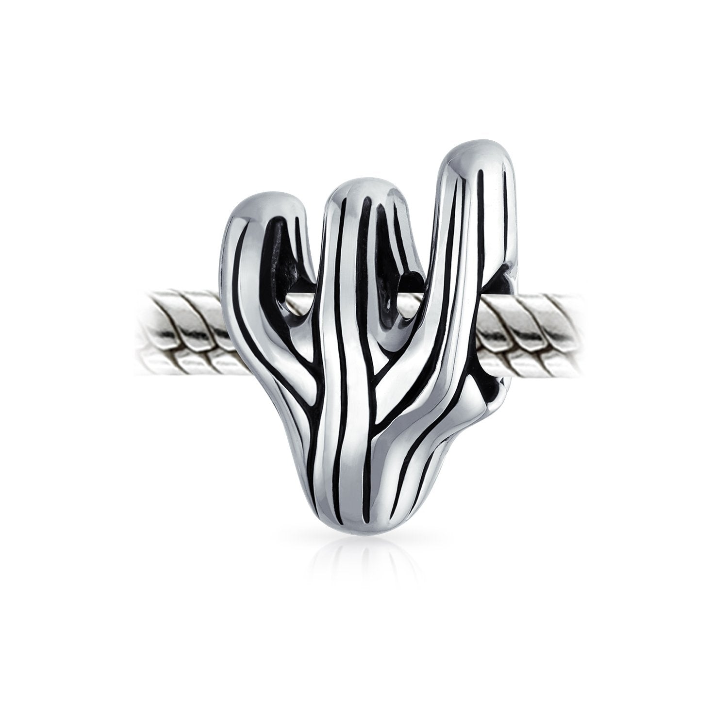 Sonoran Desert Cactus Travel Charm Bead 925 Sterling Silver European - Joyeria Lady